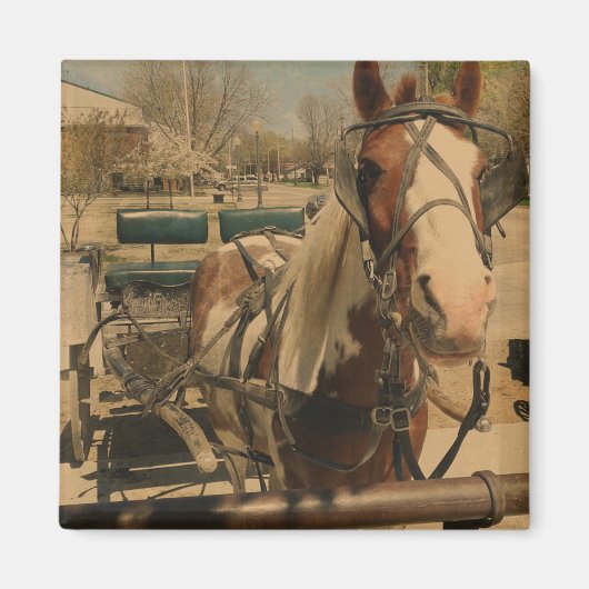 Pinto Buggy Magnet (Vorne)