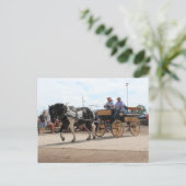 Pinto Draft Horse 2018 Mt. Pleasant, Iowa Postkarte (Stehend Vorderseite)