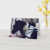 Pinto Draft Pferde Geburtstag Karte (Gelbe Blume)