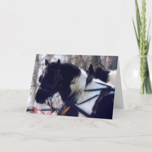 Pinto Draft Pferde Geburtstag Karte