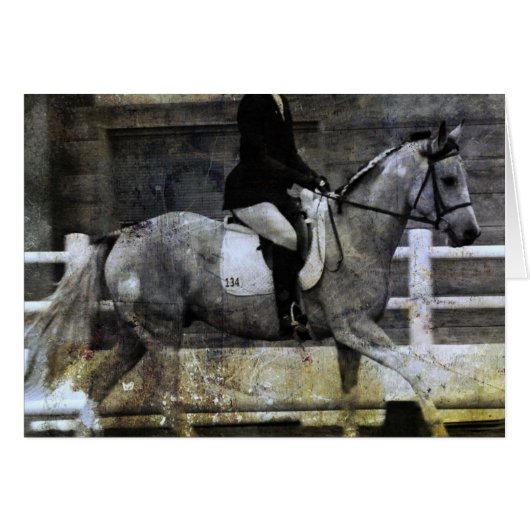 Pinto Dressage Horse (Vorderseite (Horizontal))