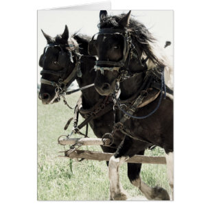 Pinto-Entwürfe am Arbeitsplatz