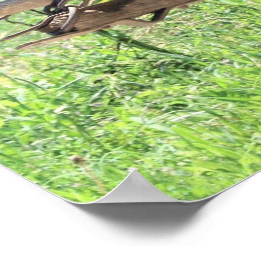 Pinto-Entwürfe am Arbeitsplatz Poster (Ecke)