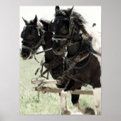 Pinto-Entwürfe am Arbeitsplatz Poster (Vorne)