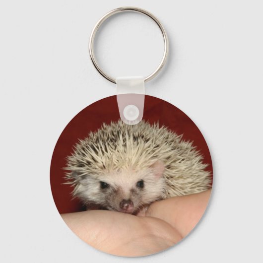 Pinto-face-Igel Schlüsselanhänger (Vorderseite)