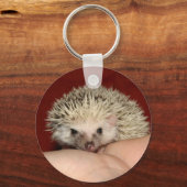 Pinto-face-Igel Schlüsselanhänger (Vorderseite)