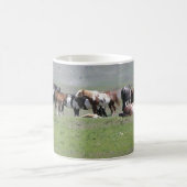 Pinto-Herde, South Dakota Kaffeetasse (Mittel)