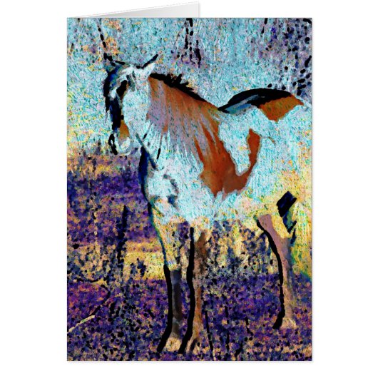 Pinto Horse Digitale Kunst (Vorne)