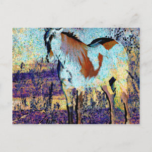 Pinto Horse Digitale Kunst Postkarte
