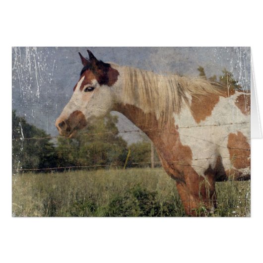 Pinto Horse Grunge (Vorderseite (Horizontal))