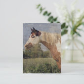 Pinto Horse Grunge Postkarte (Stehend Vorderseite)