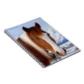 Pinto Horse Monte Moran im Winter Notizblock (Rechte Seite)