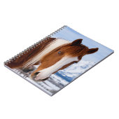 Pinto Horse Monte Moran im Winter Notizblock (Linke Seite)