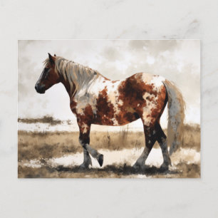 Pinto Horse Watercolor Postkarte