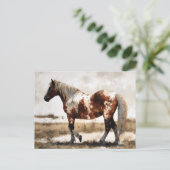 Pinto Horse Watercolor Postkarte (Stehend Vorderseite)