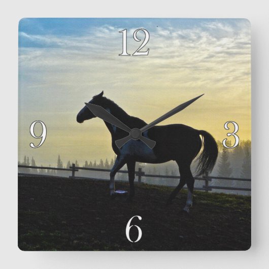 Pinto in Barnyard bei Sunrise Quadratische Wanduhr (Vorderseite)