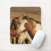 Pinto in Herd Mousepad (Mit Mouse)