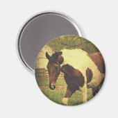 Pinto Magnet (Vorderseite/Rückseite)