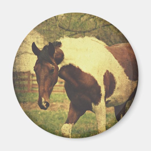 Pinto Magnet (Vorne)