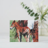 Pinto Mare mit Foal Postkarte (Stehend Vorderseite)
