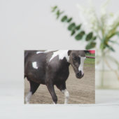 Pinto Mini Horse Liberty Class auf der Landkreis F Postkarte (Stehend Vorderseite)