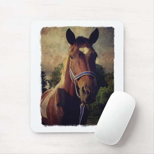 Pinto Mousepad (Mit Mouse)