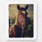 Pinto Mousepad (Vorne)