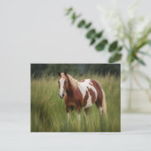 Pinto Mustang Horse in Groß Postkarte (Stehend Vorderseite)