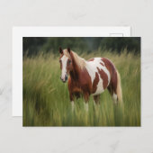 Pinto Mustang Horse in Groß Postkarte (Vorne/Hinten)