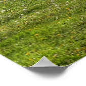 Pinto Paint & Herd Ranch Pferdekieferöl Foto Poster (Ecke)