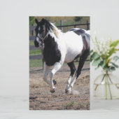Pinto Paint Horse Briefpapier (Stehend Vorderseite)