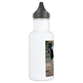 Pinto Paint Horse Edelstahlflasche (Links)