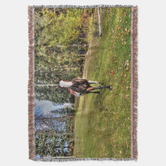 Pinto Paint Horse & Forest auf Ranch Decke (Vorderseite Vertikal)