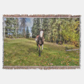 Pinto Paint Horse & Forest auf Ranch Decke (Vorderseite)