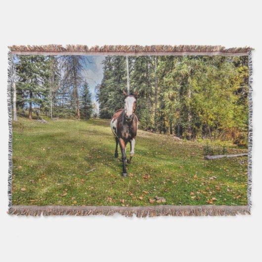 Pinto Paint Horse & Forest auf Ranch Decke (Vorderseite)