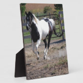 Pinto Paint Horse Fotoplatte (Seite)