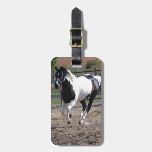 Pinto Paint Horse Gepäckanhänger (Vorderseite vertikal)