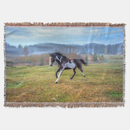 Pinto Paint Horse & Misty Morning auf Ranch Decke (Vorderseite)
