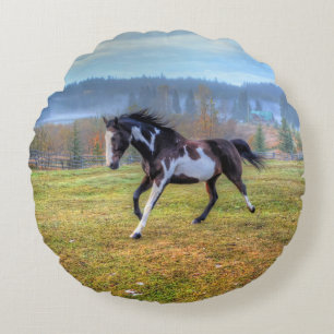 Pinto Paint Horse & Misty Morning auf Ranch Rundes Kissen