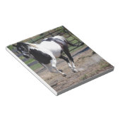 Pinto Paint Horse Notizblock (angewinkelt)