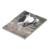 Pinto Paint Horse Notizblock (Rotiert)