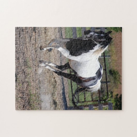Pinto Paint Horse Puzzle (Horizontal)