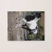 Pinto Paint Horse Puzzle (Horizontal)