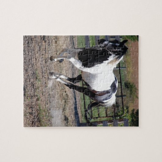 Pinto Paint Horse Puzzle (Horizontal)