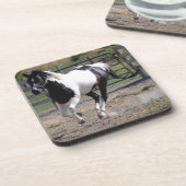 Pinto Paint Horse Untersetzer (Linke Seite)