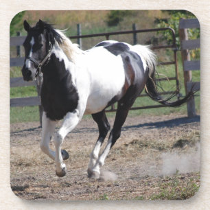 Pinto Paint Horse Untersetzer