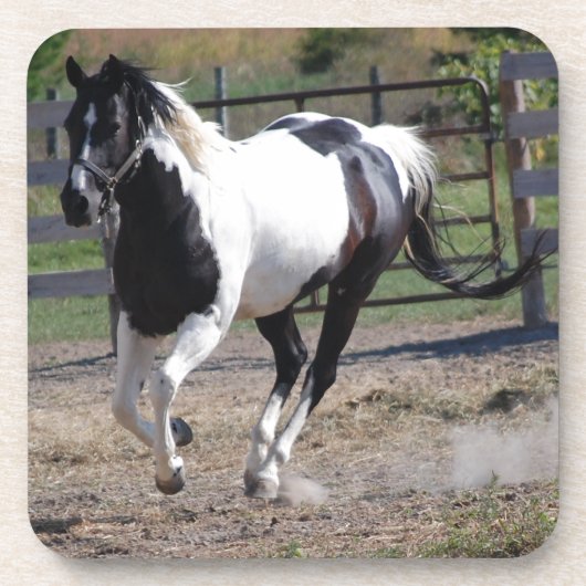 Pinto Paint Horse Untersetzer (Vorderseite)