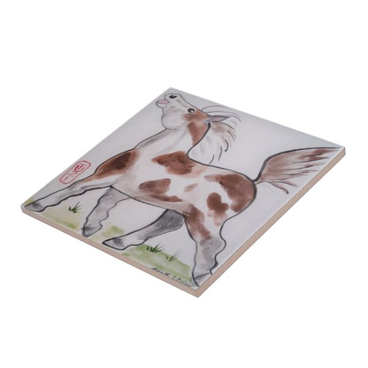 Pinto Paint Pony Brown White Horse Fliese (Seite)