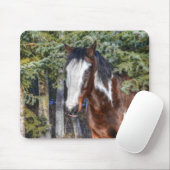 Pinto Paint Stallion & Evergreen Trees Mousepad (Mit Mouse)