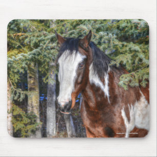 Pinto Paint Stallion & Evergreen Trees Mousepad